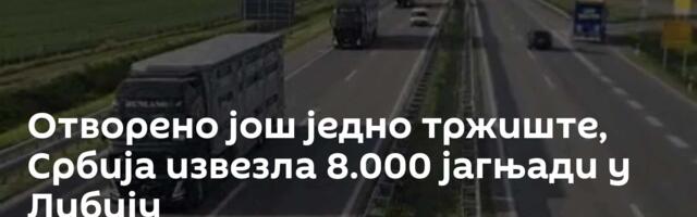 Отворено још једно тржиште, Србија извезла 8.000 јагњади у Либију