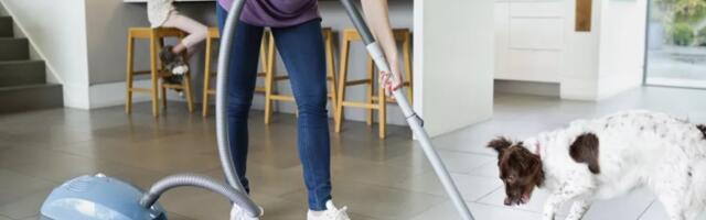 Psi i fobije: strah od predmeta