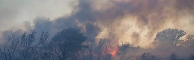 VATRA GUTA ZAKINTOS, JAK VETRA JE RASPLAMSAVA! Borba sa požarom iz kanadera i helikoptera (VIDEO)