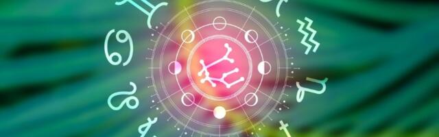 Zodijak ima samo jednog genija! Svi ostali znakovi mu se DIVE