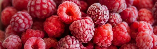 Продужен рок до 31. децембра за одобрење кредита за складиштаре малине рода 2025.