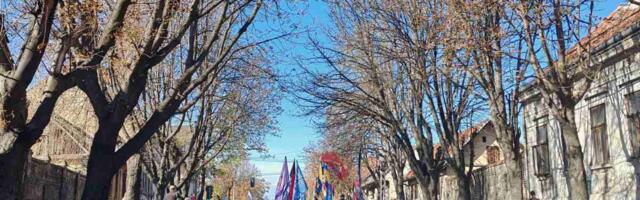 „Veliki studentski bazar – od Morave do Ibra“ u subotu u Kragujevcu, Aranđelovcu, Lapovu, Rači, Kraljevu…