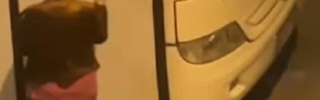 Kako je baba izgrebala autobus u Beogradu (VIDEO)