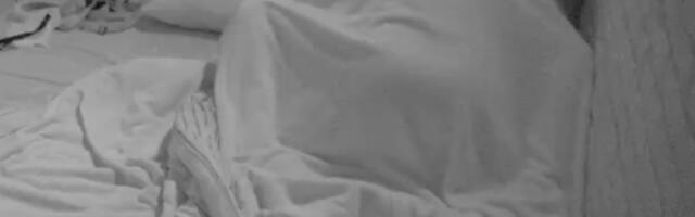 ŽIVOTINJSKO IŽIVLJAVANJE ANITE I LUKE! Šokirali naciju brutalnom vrelom akcijom, OVO GLEDATE SOPSTVENU ODGOVORNOST! Stišajte zvuk! (VIDEO)