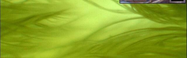 Reke i plimne struje sprečavaju mikrovlakna da dospeju u okeane