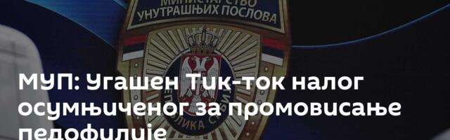 МУП: Угашен Тик-ток налог осумњиченог за промовисање педофилије