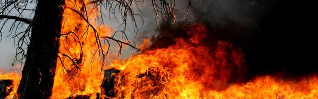 Enormno povećanje požara na otvorenom u Srbiji! Od početka februara 1.492 požara naspram 226 u istom periodu u 2023.