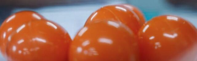 USIJANJE: Kup takmičenje ulazi u samu završnicu - oni će se boriti za četvrtfinale!