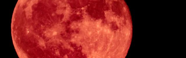 Vučji mesec OTVARA BOLNE RANE: 4 znaka će ove dane u januaru provesti u suzama