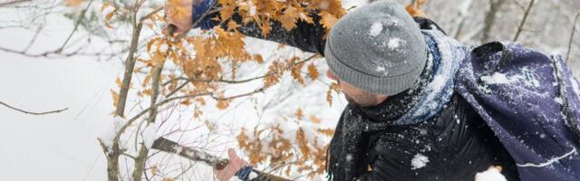 Tradicionalna riblja čorba u Temerinu - Mađari kuvaju za Srbe povodom Badnjeg dana