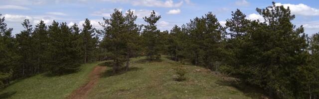 Ova srpska planina ima najčistiji vazduh, a baš je blizu Beograda: Idealan beg iz grada za Prvi maj