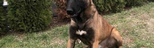 OVAKVOG FUDBALERA JOŠ NISTE VIDELI! Bolji od Mesija i Ronalda (Video)