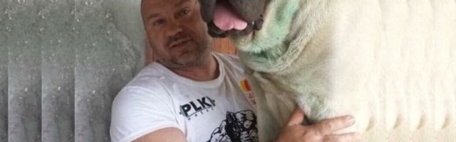 "Tito je istrebio srpske kraljevske mastife"
