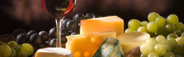 ANATOMIJA UŽIVANJA – PRIČA O MOM PRIJATELJU  M