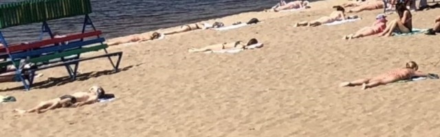 GADNO! Radnik zatekao jeziv prizor na plaži zamotan u foliju!