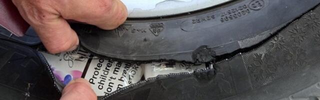 E ovo još nismo videli, neverovatno mesto za krijumčarenje: Zaustavljen na prelazu Bački vinogradi