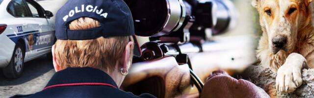 Lovačkom puškom ubio komšijskog psa: Određen pritvor monstrumu