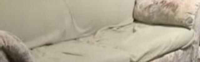 Čovek je pomerio kauč kako bi usisao, a onda je ugledao ovu odvratnu stvar: Nije životinja, mnogo je gadnije! FOTO