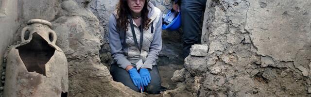Neočekivano otkriće u Pompeji: Žrtvenici puni ostataka supstanci iz Afrike ili Azije, evo zašto je to važno