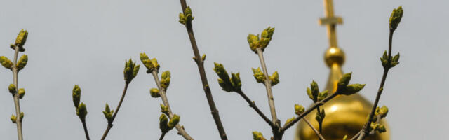 Pozdrav "Hristos vaskrse, vaistinu vaskrse" pravi vernici izgovaraju do ovog praznika: Običaj se treba poštovati