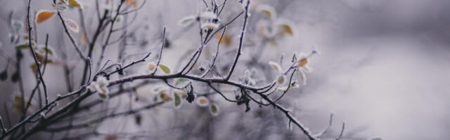 U Srbiji će pasti do 35 centimetara snega: Stabilno i toplo vreme broji svoje poslednje sate