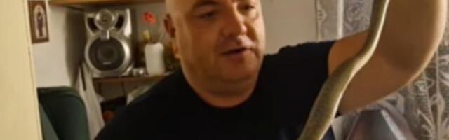 HOROR U PORODIČNOJ KUĆI KOD NIŠA: Ogromna ZMIJA iskočila iz ormara, ali Vladica Zmijolovac je rešio stvar! (VIDEO)