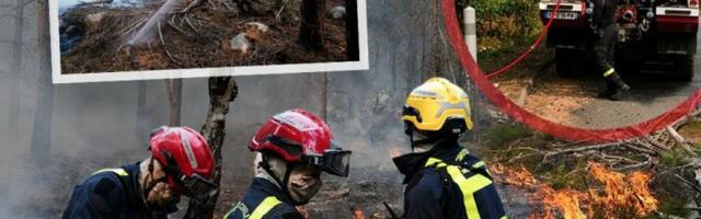 DRAMA KOD PARIZA! Požari gutaju šume, 600 vatrogasaca vodi iscrpljujuću bitku sa VATRENOM STIHIJOM! (FOTO, VIDEO)