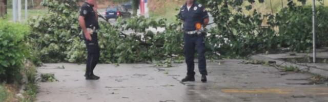 Grom prepolovio stablo u centru Bara, delovi krošnje pali na stazu: Tragedija izbegnuta za dlaku, nadležne službe odmah izašle na teren