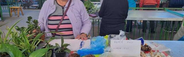 Klice su dragoceni dodatak ishrani, a njih proizvodi Margita Bartoš iz Aradca