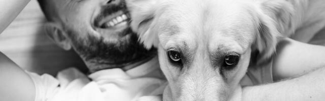 Kako psi pamte svoje vlasnike: Nauka iza psećeg pamćenja i privrženosti