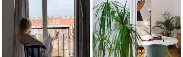 Mali stan, veliki efekat: Trikovi dizajnera zbog kojih prostor izgleda veće nego što jeste