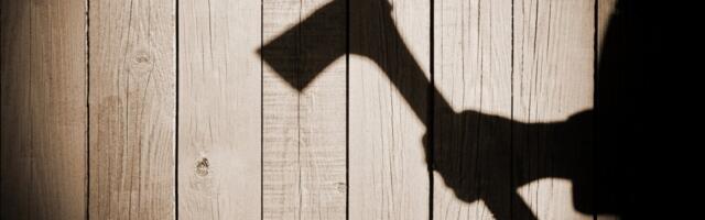 Velika akcija Evropola: Uhapšeno 10 pripadnika kriminalne organizacije "Crna sekira"!