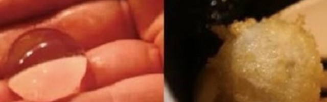 Pržena voda: Vegetarijanska poslastica koja bi vas mogla ubiti, ne pokušavajte kod kuće!