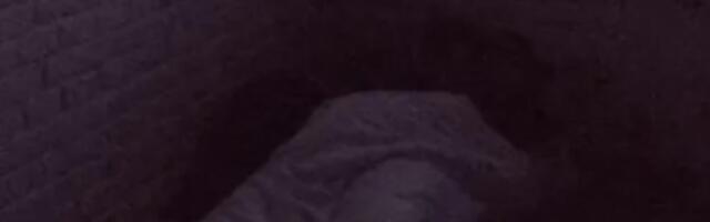 MILJANA I ZOLA U VRELOJ AKCIJI: Kulićeva zadovoljila bivšeg, on nije mogao da se iskontroliše, pa završili ispod jorgana! (VIDEO)