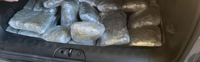 Carinicima prijavo lični prtaljag, a u bunkeru skrivao 15 kilograma marihuane: Uhapšen na licu mesta