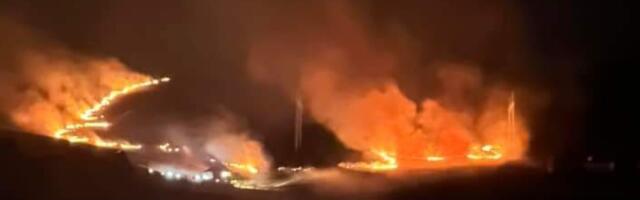Plamen se bro širi! Požar na Zlatiboru: Vatra zahvatila korov i travu (FOTO)