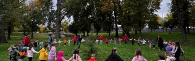 Upoznaj drvo da bi ga zavoleo