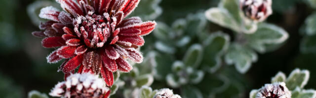 STIŽE NOVA TURA SNEGA I KIŠE, PROGNOZA - DA SE SMRZNEŠ! Opasna pojava na putu biće U OVOM DELU ZEMLJE