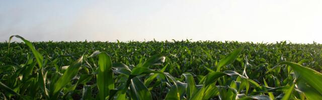 Poljoprivrednici najavili novi protest ako se ispostavi da su najavljene subvencije uslovljene: „Ne trebaju nam mašine, već podrška da održimo proizvodnju“