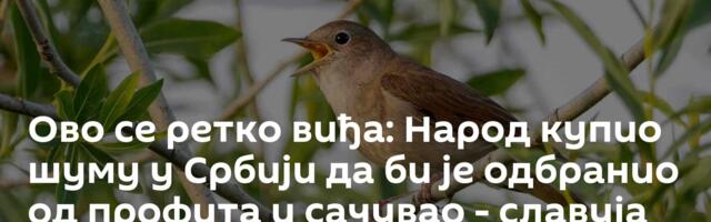 Ово се ретко виђа: Народ купио шуму у Србији да би је одбранио од профита и сачувао - славуја