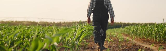 Vlada Srbije podigla cenu dizela za poljoprivrednike