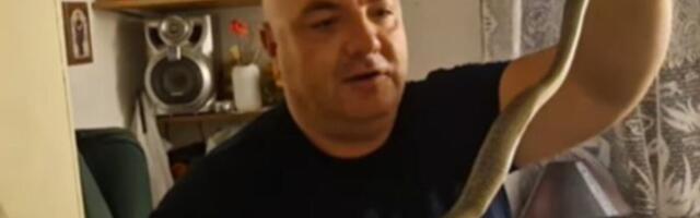 "UVEK KOD SEBE IMAJTE OVO" Vladica UPOZORAVA SVE: Zmije ulaze i u kuće: "Ako vas ujede OVO ODMAH URADITE"