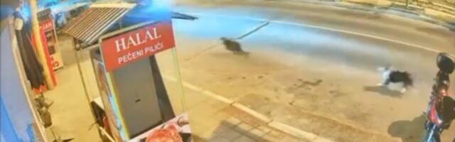 (VIDEO) Novi Pazar: psi lutalice jurili ženu kod Jakljanskog mosta, automobil oštećen