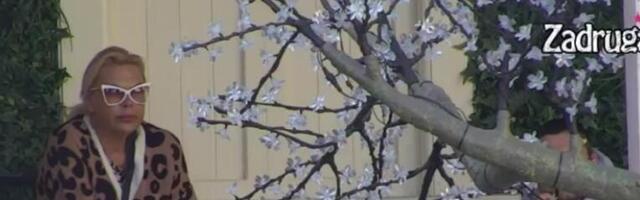 KAD VIDI ZOLU, KAO DA JE DROGIRANA: Bebica pati za Mijanom, Marija ga teši, napravila mu strategiju kako da je vrati!