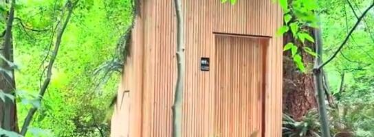 Prvi toalet bez vode: Koren pečurke razgrađuje otpad pretvarajući ga u hranjiv kompost (VIDEO)