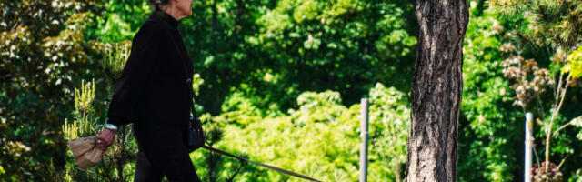 PROLEĆE USRED DECEMBRA Ujutru slab mraz, a onda sunve i rast temperature