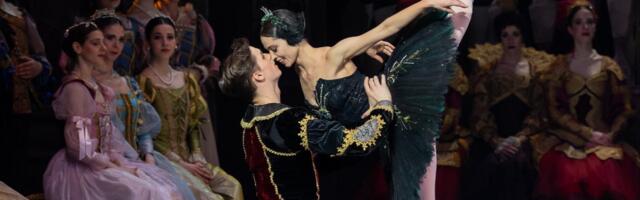 Baletski gala koncert za Crveni krst Vojvodine