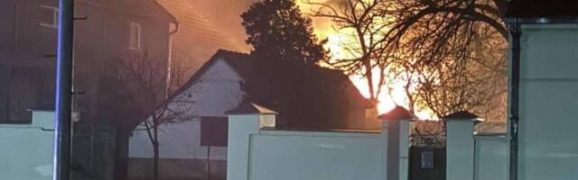 DRAMA U LAĆARKU! Lampa izazvala požar u tovilištu – vlasnik u poslednjem trenutku izveo desetak svinja