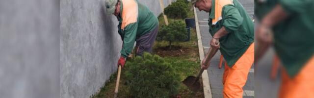 Vrati dah prirodi - posadi drvo: Posađene 44 lišćarske i četinarske sadnice (FOTO)