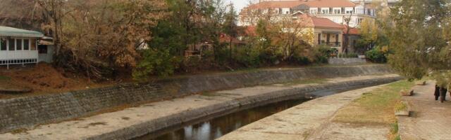 GG „Svi za jednog jedan za sve“ tvrdi da se drva koja se seku na obali Veternice prodaju kod trga Crnog Marka